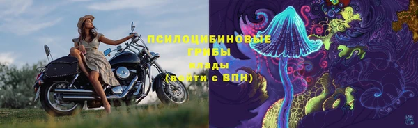 apvp Зеленодольск