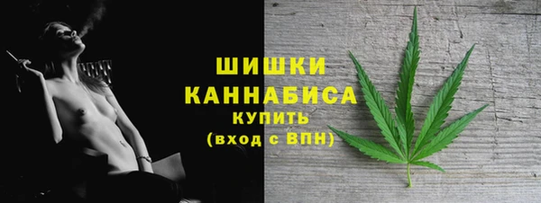 СК Зерноград