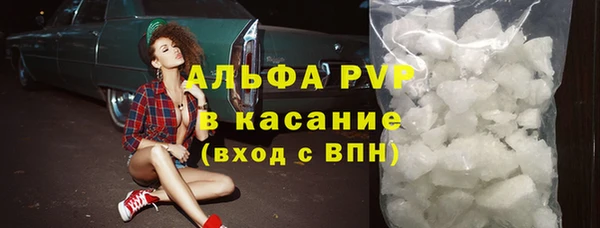 СК Зерноград