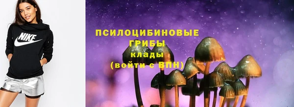 apvp Зеленодольск