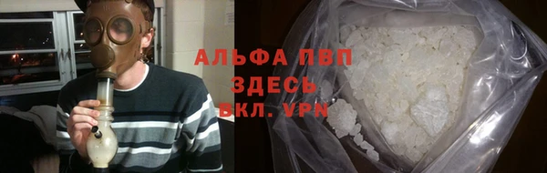 СК Зерноград