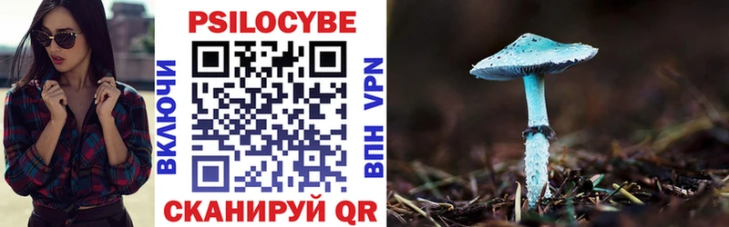 Псилоцибиновые грибы MAGIC MUSHROOMS Давлеканово